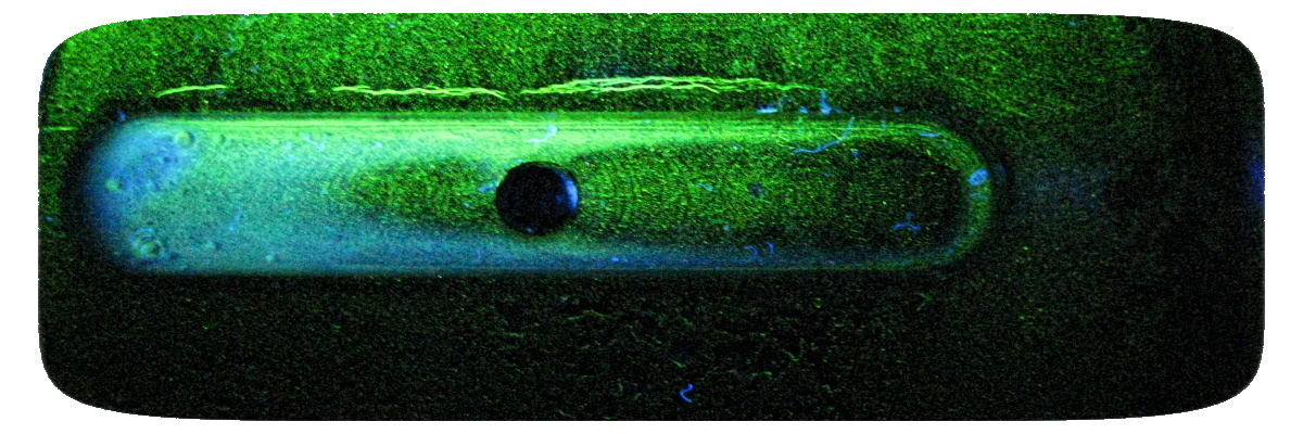 Magnétoscopie